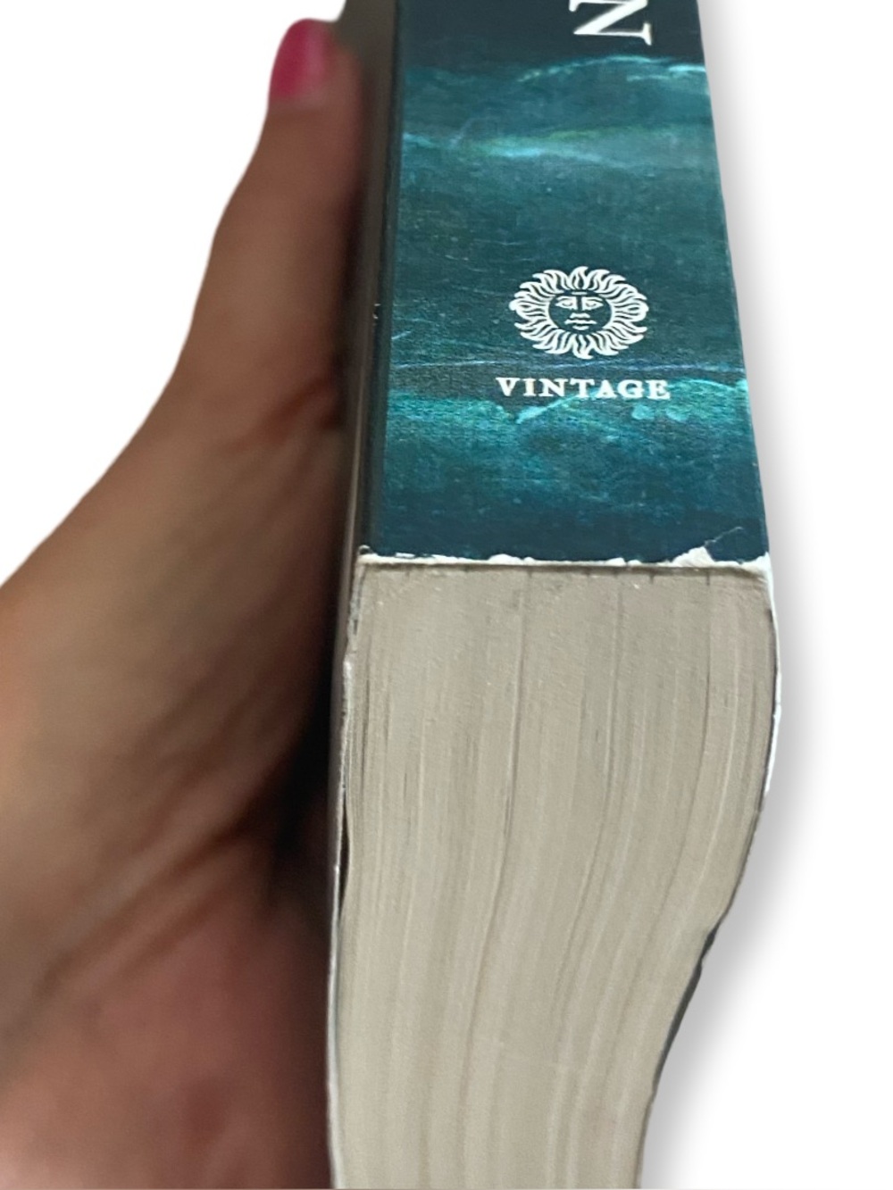 New The Wager Book - Picture 4 of 4